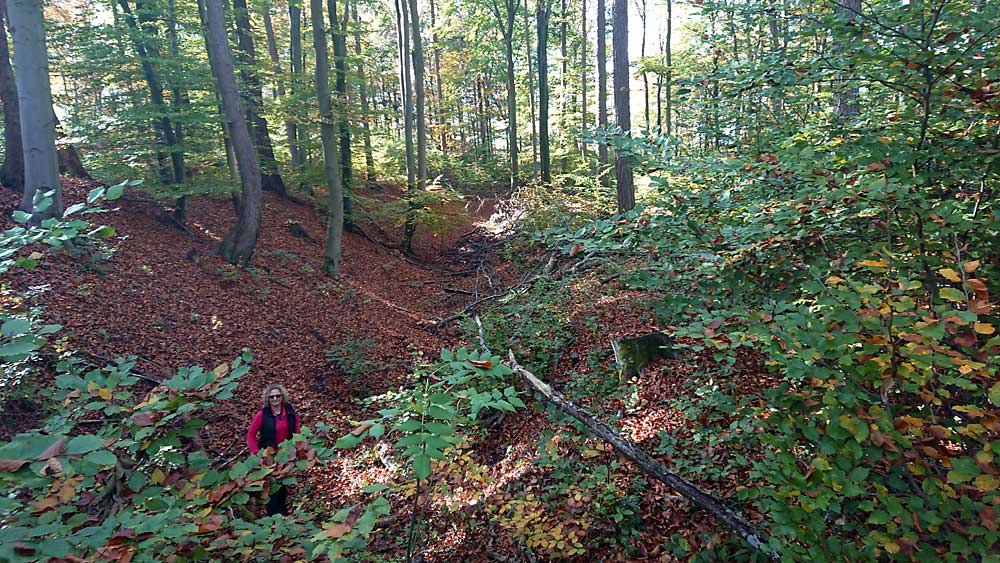 Burggraben auf Schloßberg bei Landsberied